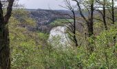 Randonnée Marche Dinant - Anseremme 120422 - Photo 1