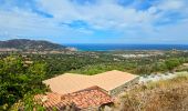 Excursión Senderismo L'Île-Rousse - Boucle Ile Rousse - Corbara - Pigna - Santa Réparata - Photo 15