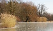 Tour Zu Fuß Vaihingen an der Enz - VE6 Bartenberg-Rundweg - Photo 1