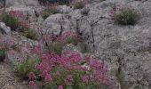 Tocht Stappen Marseille - tour de la grande candelle - Photo 2