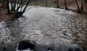 Trail Walking Libin - laisse la lesse  - Photo 3