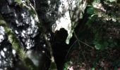 Percorso Marcia Montjoyer - Le ruisseau de citelles (Alerac 26) - Photo 5