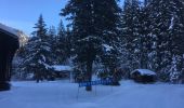 Excursión Raquetas de nieve Orsières - Champex Lac - La Breya - Champex Lac - Photo 16