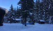 Trail Snowshoes Orsières - Champex Lac - La Breya - Champex Lac - Photo 16