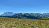 Tour Wandern Châtel - Les Mattes - Photo 2