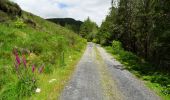 Percorso A piedi Westport-Belmullet Municipal District - Lough Aroher Loop - Photo 1