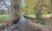 Randonnée Marche Durbuy - Bois et champs.  - Photo 10