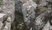 Randonnée Marche Spéracèdes - cabris croix et dolmen  - Photo 3