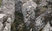 Tocht Stappen Spéracèdes - cabris croix et dolmen  - Photo 3