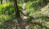 Trail Walking Busy - Busy Vierge du mont - Photo 6