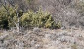 Tour Wandern Teyssières - la lance  insolite - Photo 4