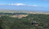 Tour Wandern Laroque-des-Albères - La Roque des Alberes, randonnée et botanique - Photo 11