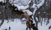 Percorso Sci di fondo Escragnolles - panoramique enneigé - Photo 7