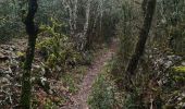 Trail Walking Labastide-de-Virac - les crottes - Photo 16