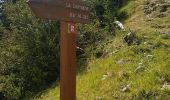 Trail Walking Valdeblore - tour du pic de colmiane - Photo 10