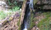 Tour Wandern Villers-le-Lac - Le Pisoux - Photo 15