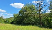 Excursión Senderismo Houyet - Celles Hulsonniaux La Lesse - Photo 12