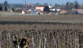 Trail On foot Bodolz - Nordic-Walking Bayerischer Bodensee Bodolz R16 : Taubenberg Runde - Photo 7