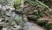 Randonnée Marche Sablières - Pont Du Mas - Boules de Gargantua 14km - Photo 4