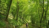 Tour Wandern Goesdorf - Goebelsmühle  - Photo 15