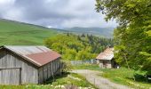 Tour Wandern Tréminis - Sentier de la résistance en boucle - Photo 8