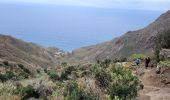 Tour Wandern Santa Cruz de Tenerife - BENIJO - El Draguillo - Photo 4