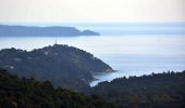 Randonnée Marche Rayol-Canadel-sur-Mer - Le rayon canadel - Route des crètes - Photo 17