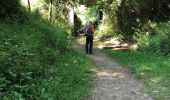 Tocht Stappen Bellevigne-en-Layon - Faye d’Anjou  - Photo 1