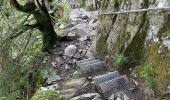 Tocht  Le Valtin - Sentier des roches frankenthal col de la schlucht - Photo 6