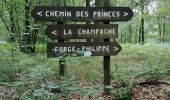 Tour Wandern Chimay - Balade bucolique  - Photo 4