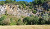 Tour Wandern Flémalle - au roche flemalle  - Photo 17