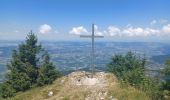 Randonnée Marche Autrans-Méaudre en Vercors - Le bec de lorient - Photo 1