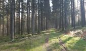 Randonnée Marche Malmedy - ligneuville - ondeval  aller retour  - Photo 14