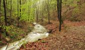 Tour Zu Fuß Sasca Montană - Sasca Montană – Cascada Șușara – Cărbunari (blue plus) - Photo 8