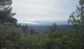 Tour Wandern Évenos - Cap Gros en partant du col du corps de Garde - Photo 20