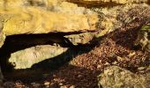 Trail Walking Villey-le-Sec - Villey le sec - Les grottes - Le fort - Photo 16