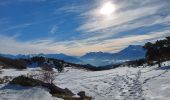 Randonnée Raquettes à neige Susville - les Merlins - Photo 5