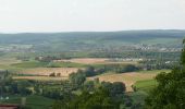 Randonnée A pied Löwenstein - WT4 Auf den Spuren von Dichtern und Denkern - Photo 2