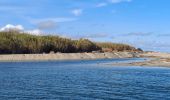 Excursión Senderismo Argelès-sur-Mer - Boucle du Mas Larrieu - Photo 1