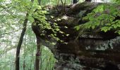 Tocht Stappen Münchweiler an der Rodalb - Pirmasens - Felsenwald - Photo 9