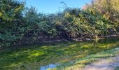 Tour Wandern La Garde-Adhémar - grade delmar - Photo 13