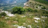Trail Walking Saint-Geniez - la montagne de Gache - Photo 4