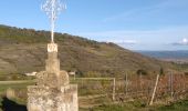 Tour Wandern Boudes - Boude  Chemin des saints - Photo 12