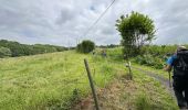 Tocht Stappen Halle - Lembeek 27 km - Photo 6