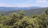 Excursión Senderismo Ferrières-Poussarou - Crêtes du Matas - Photo 2