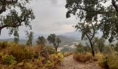 Trail Walking Biure - bourse.  castel de mont roigt  /  retour par ma vallée  - Photo 16