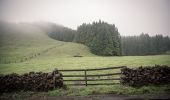 Tour Zu Fuß Biscoitos - Mistérios Negros - Photo 8