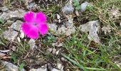 Tour Wandern Saint-Agnan-en-Vercors - Rocher du mas (vercors) - Photo 7