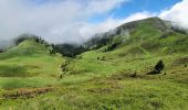 Percorso Marcia Ferrère - montagne d'Areng depuis la piste forestière après Férrères - Photo 3