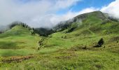 Excursión Senderismo Ferrère - montagne d'Areng depuis la piste forestière après Férrères - Photo 3